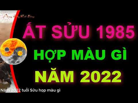 Tuổi Ất Sửu 1985 hợp màu gì năm 2022 để mang lại Tài Lộc